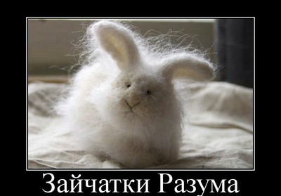 есть ли на первом курсе практика. Смотреть фото есть ли на первом курсе практика. Смотреть картинку есть ли на первом курсе практика. Картинка про есть ли на первом курсе практика. Фото есть ли на первом курсе практика есть ли на первом курсе практика. Смотреть фото есть ли на первом курсе практика. Смотреть картинку есть ли на первом курсе практика. Картинка про есть ли на первом курсе практика. Фото есть ли на первом курсе практика