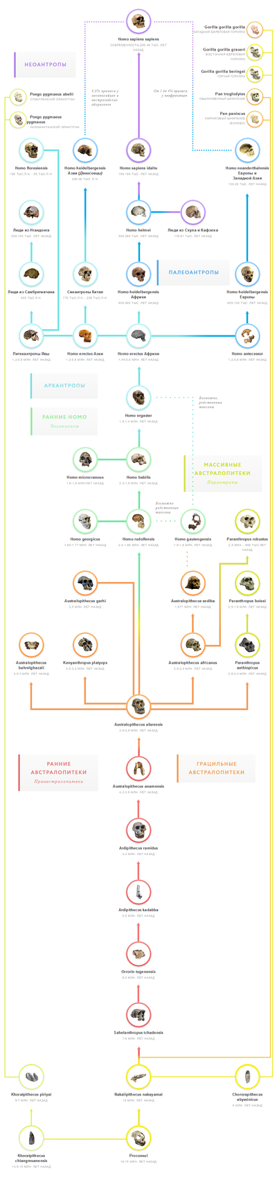 ����������� � �����������