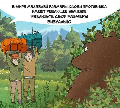 кто такой медведь шатун и чем он опасен. Смотреть фото кто такой медведь шатун и чем он опасен. Смотреть картинку кто такой медведь шатун и чем он опасен. Картинка про кто такой медведь шатун и чем он опасен. Фото кто такой медведь шатун и чем он опасен