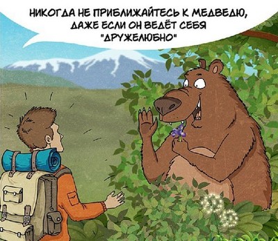кто такой медведь шатун и чем он опасен. Смотреть фото кто такой медведь шатун и чем он опасен. Смотреть картинку кто такой медведь шатун и чем он опасен. Картинка про кто такой медведь шатун и чем он опасен. Фото кто такой медведь шатун и чем он опасен