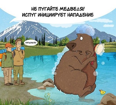 кто такой медведь шатун и чем он опасен. Смотреть фото кто такой медведь шатун и чем он опасен. Смотреть картинку кто такой медведь шатун и чем он опасен. Картинка про кто такой медведь шатун и чем он опасен. Фото кто такой медведь шатун и чем он опасен