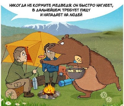 кто такой медведь шатун и чем он опасен. Смотреть фото кто такой медведь шатун и чем он опасен. Смотреть картинку кто такой медведь шатун и чем он опасен. Картинка про кто такой медведь шатун и чем он опасен. Фото кто такой медведь шатун и чем он опасен