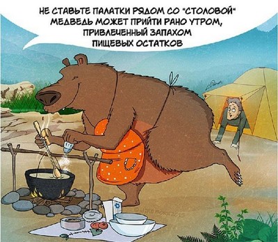 кто такой медведь шатун и чем он опасен. Смотреть фото кто такой медведь шатун и чем он опасен. Смотреть картинку кто такой медведь шатун и чем он опасен. Картинка про кто такой медведь шатун и чем он опасен. Фото кто такой медведь шатун и чем он опасен