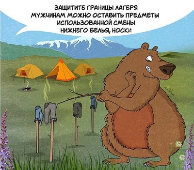 кто такой медведь шатун и чем он опасен. Смотреть фото кто такой медведь шатун и чем он опасен. Смотреть картинку кто такой медведь шатун и чем он опасен. Картинка про кто такой медведь шатун и чем он опасен. Фото кто такой медведь шатун и чем он опасен