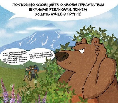 кто такой медведь шатун и чем он опасен. Смотреть фото кто такой медведь шатун и чем он опасен. Смотреть картинку кто такой медведь шатун и чем он опасен. Картинка про кто такой медведь шатун и чем он опасен. Фото кто такой медведь шатун и чем он опасен