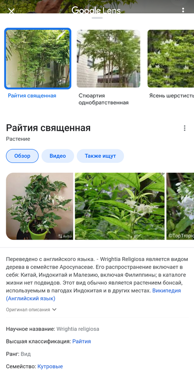 Иллюстрация к комментарию