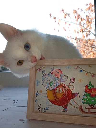 Иллюстрация к комментарию