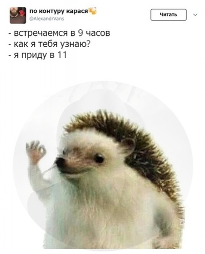 Иллюстрация к комментарию