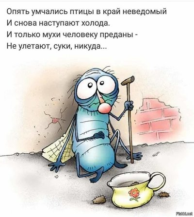 Муха съела все варенье. 1615478001161514652. Муха съела все варенье фото. Муха съела все варенье-1615478001161514652. картинка Муха съела все варенье. картинка 1615478001161514652. Ты не один такой!) я вот в подпитии коменты строчу.