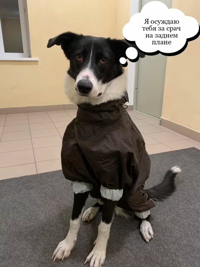 Иллюстрация к комментарию