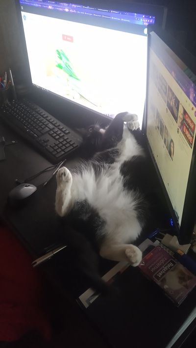 Иллюстрация к комментарию