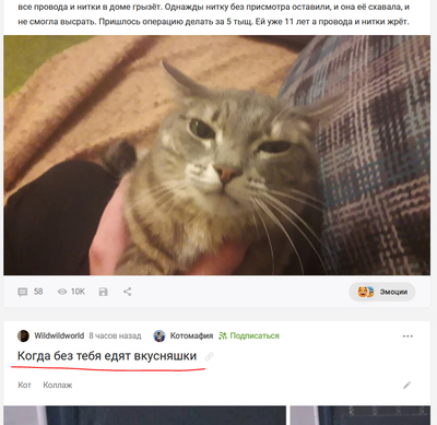 Иллюстрация к комментарию