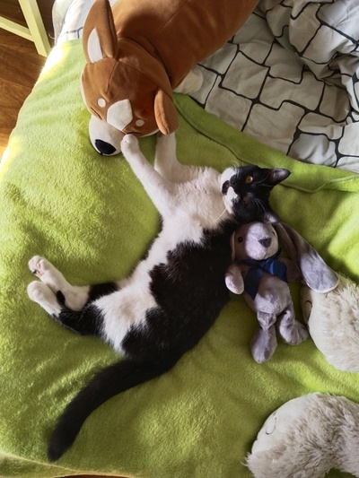 Иллюстрация к комментарию