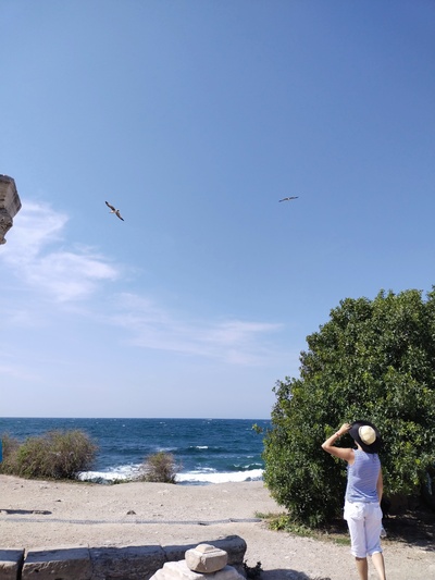 Иллюстрация к комментарию