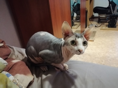 Иллюстрация к комментарию