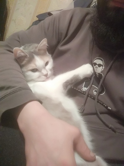 Иллюстрация к комментарию