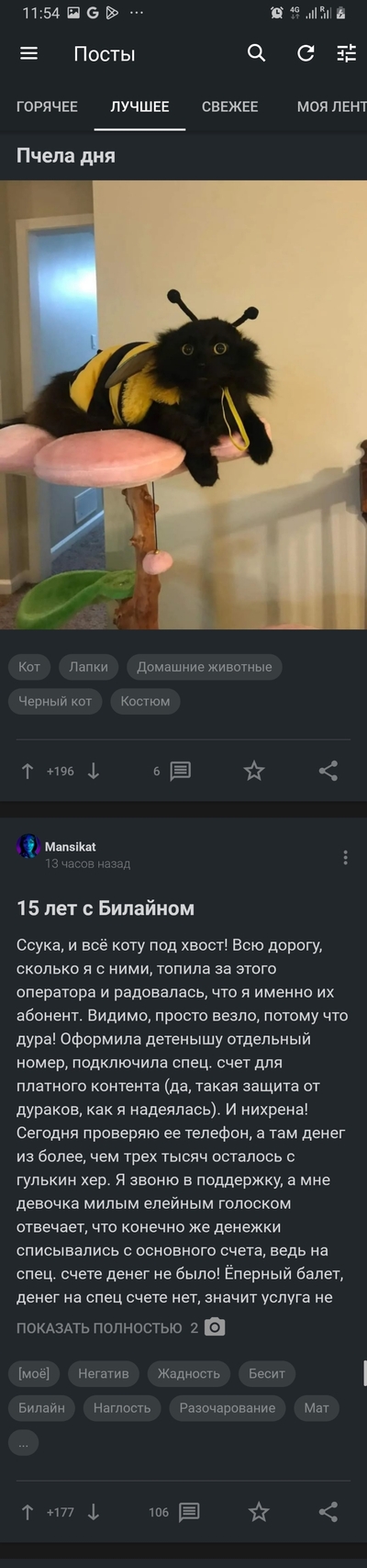 ����������� � �����������