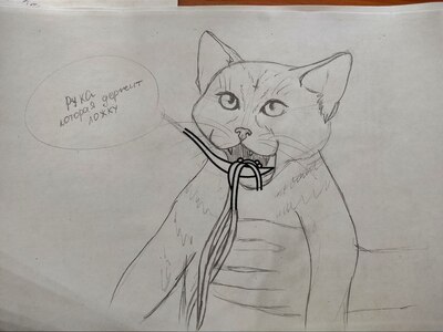 Иллюстрация к комментарию