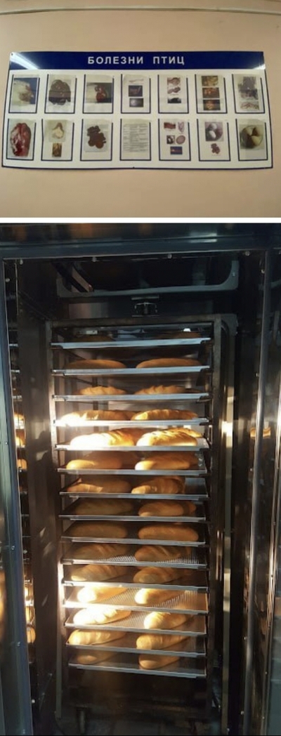 ����������� � �����������