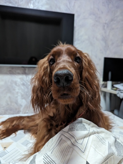 Иллюстрация к комментарию