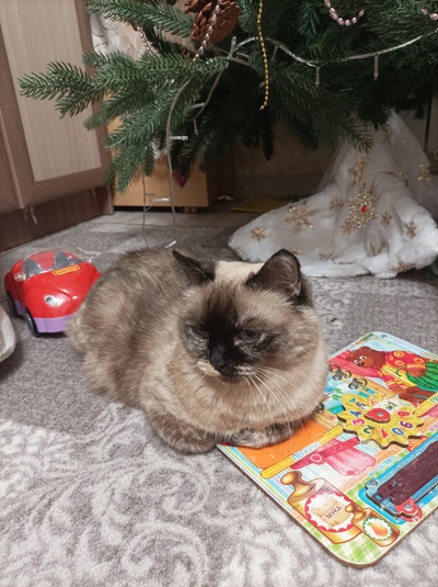 Иллюстрация к комментарию