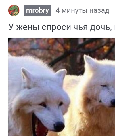 Иллюстрация к комментарию