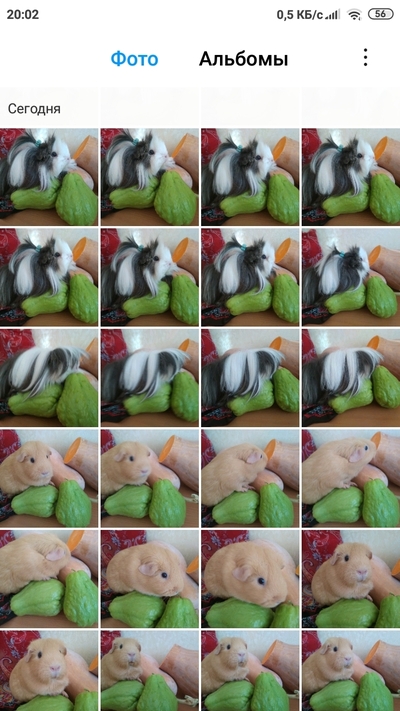 Иллюстрация к комментарию