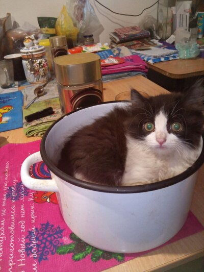 Иллюстрация к комментарию