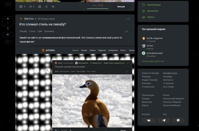 ����������� � �����������