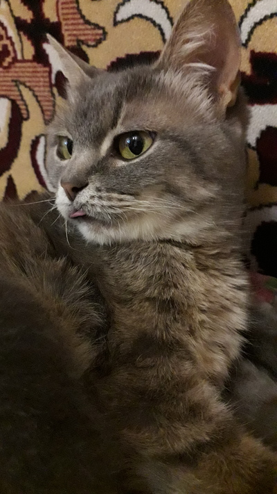 Иллюстрация к комментарию