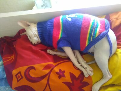 Иллюстрация к комментарию