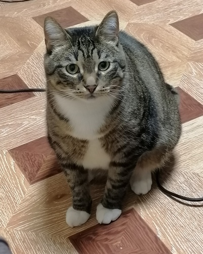 Иллюстрация к комментарию