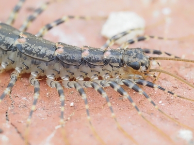 Èëëþñòðàöèÿ ê êîììåíòàðèþ