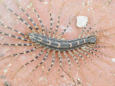 Èëëþñòðàöèÿ ê êîììåíòàðèþ