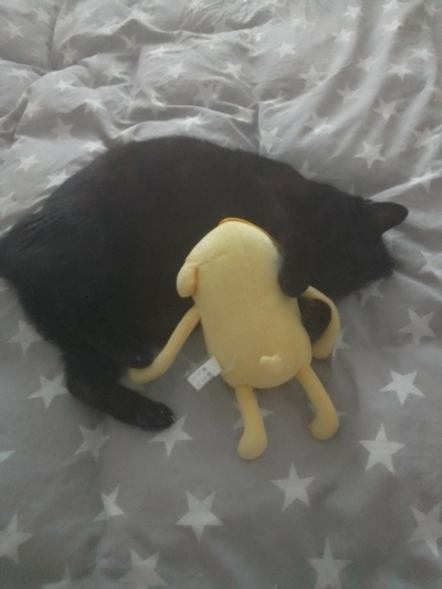 Иллюстрация к комментарию