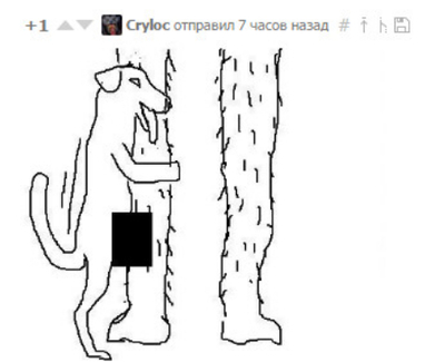 Иллюстрация к комментарию