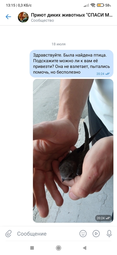 Иллюстрация к комментарию