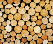 ��������� "������ ����������"