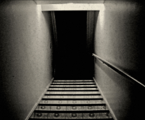 ���� "��������"