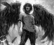 ����������. ��������