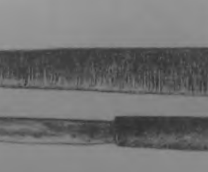 ��� �� ����