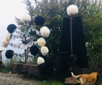 ����������� ����