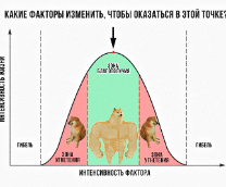 ������� �����, ������� ���� ���������