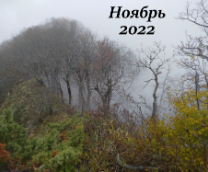 ���������� � ����������� ����