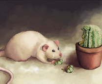 ������� � ��������� ����