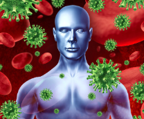 ������������ �����������