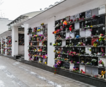 ������������ �������������� ��������