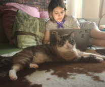 ������ ��������� � ��