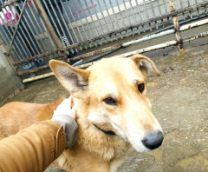 �����. ����� �� � ���� �������������