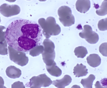 ������ ����� � �����